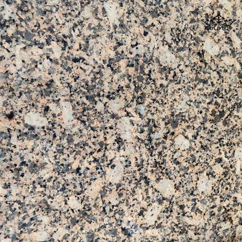 Chrysanthemum Yellow Granite