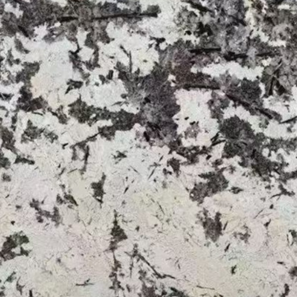 スノーマウンテンサファイア
